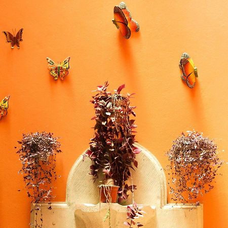 Quinta Roca Hotel Oaxaca 外观 照片